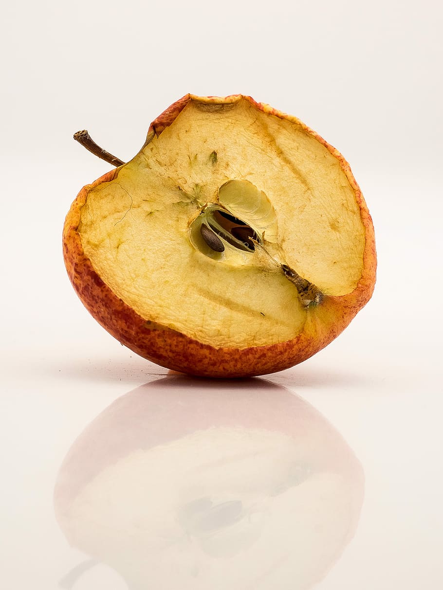 Dried apple, apple, close up, dried, dry, fruit, food, freshness, nature, close-up