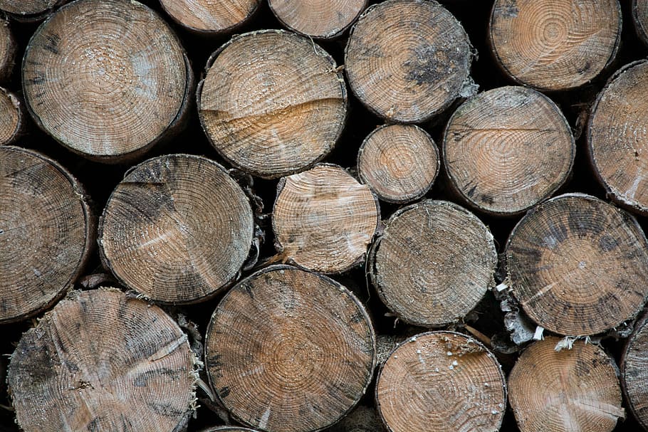 Brown, Wood, Spar, District, brown, wood, stacked, nature, background, pattern, stack
