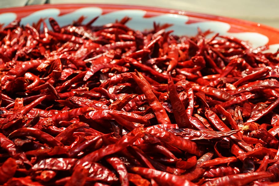 dried chilis, chilis, chili, dried, pepper, red, red chili, spicy, food, chili Pepper