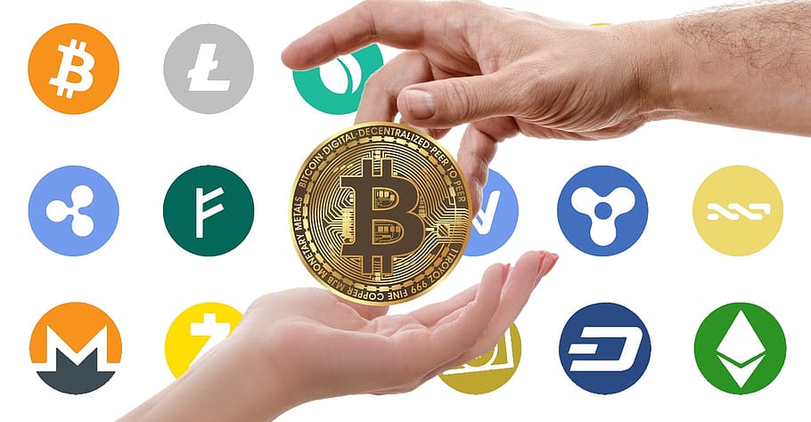 cryptocurrency, bitcoin, exchange, male, female, business, hands, human hand, human body part, hand