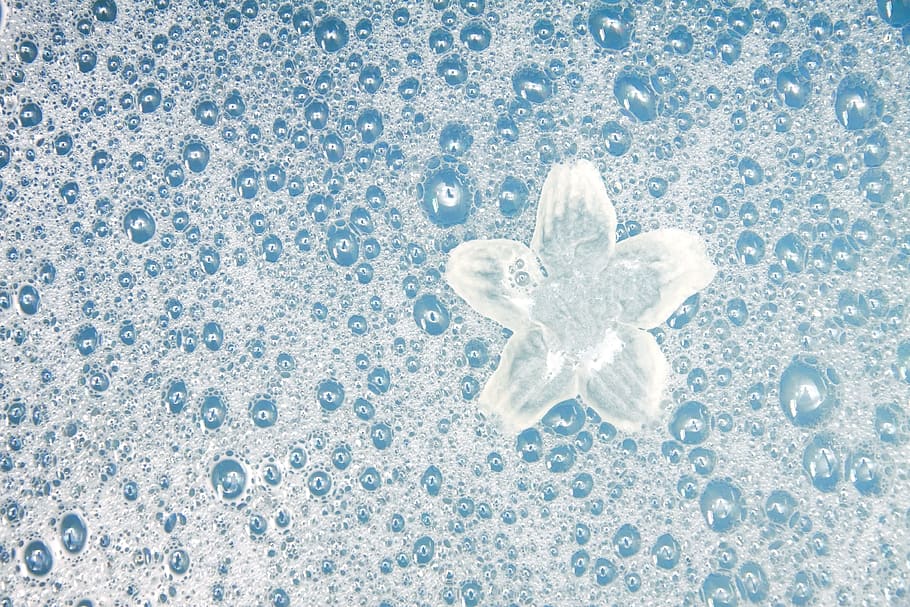 white, flower, bubble foam indoors, white flower, bubble, foam, indoors, aqua, background, bath