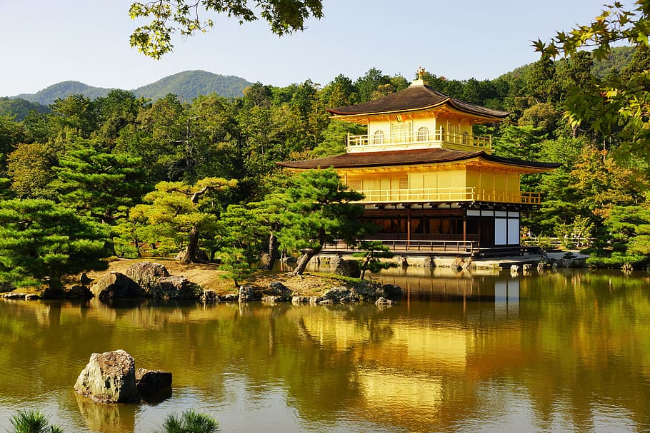 waters, nature, lake, tree, travel, japan, kyoto, golden pavilion, golden temple, temple