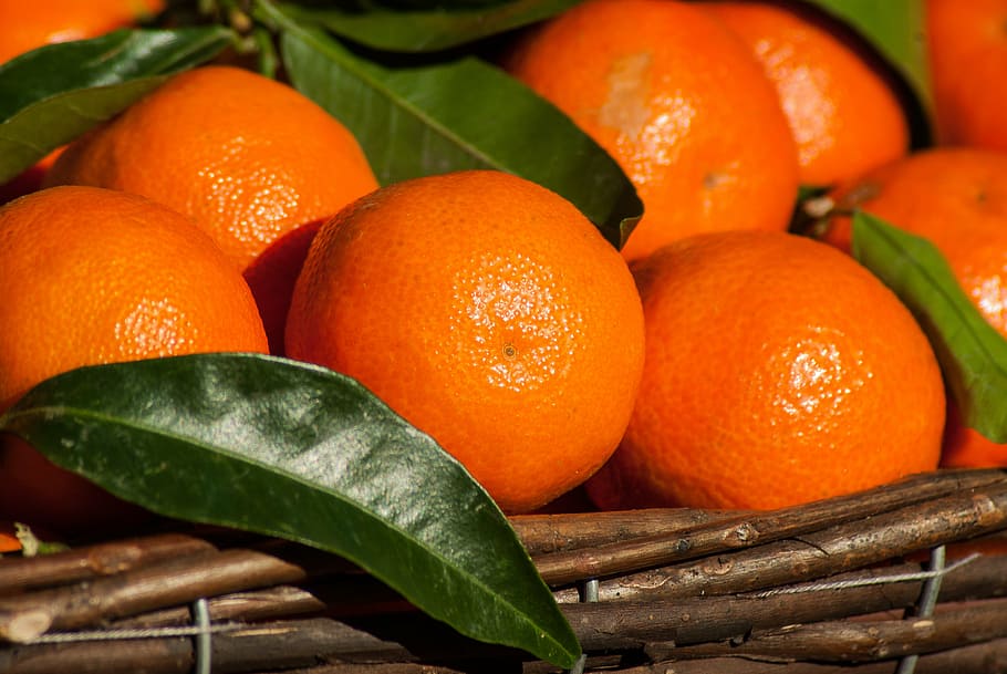 round orange fruits, fruit, clementines, citrus, mandarins, orange color, orange - fruit, food and drink, healthy eating, vegetable