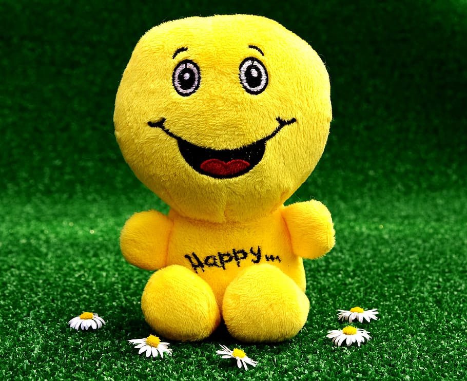 yellow, character, plush, toy, green, grass, Smiley, Laugh, Emoticon, happy
