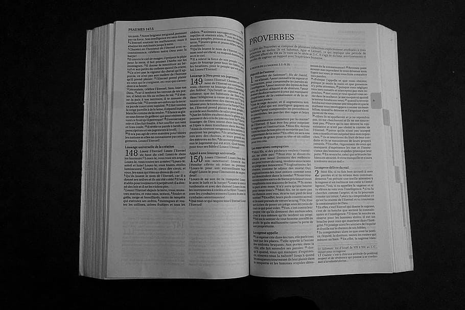 Bible, Book, Religion, this book is a reference, christianity, faith, prayer, religious, wisdom, page