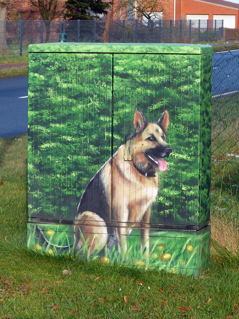 phone case, airbrush, dog, schäfer dog, paint, animal, one animal, animal themes, mammal, pets