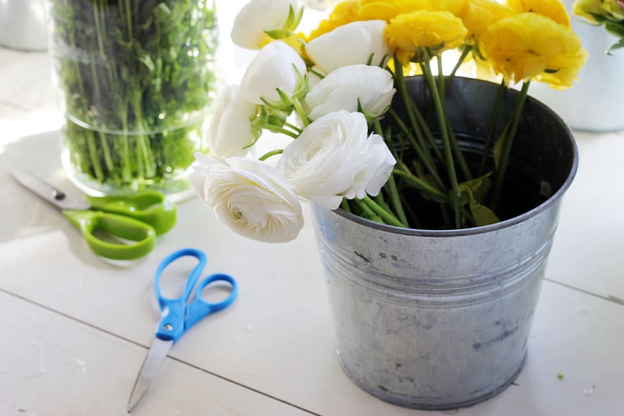 flowers, floral, florist, flower arrangement, flower arranging, stems, scissors, pail, spring, nature
