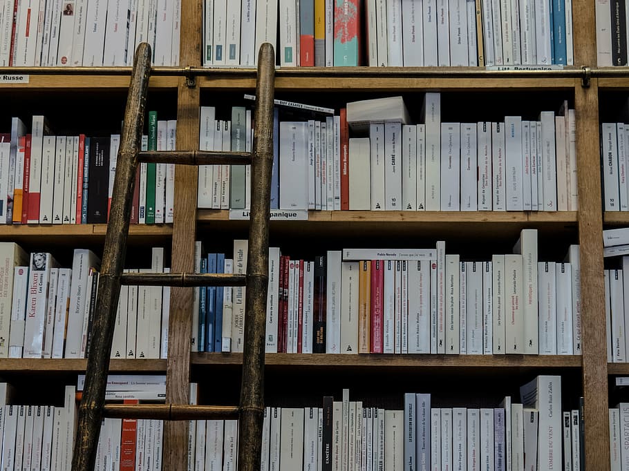 assorted-title books, bookshelf, ladder, bookshop, library, books, education, shelving, read, reading