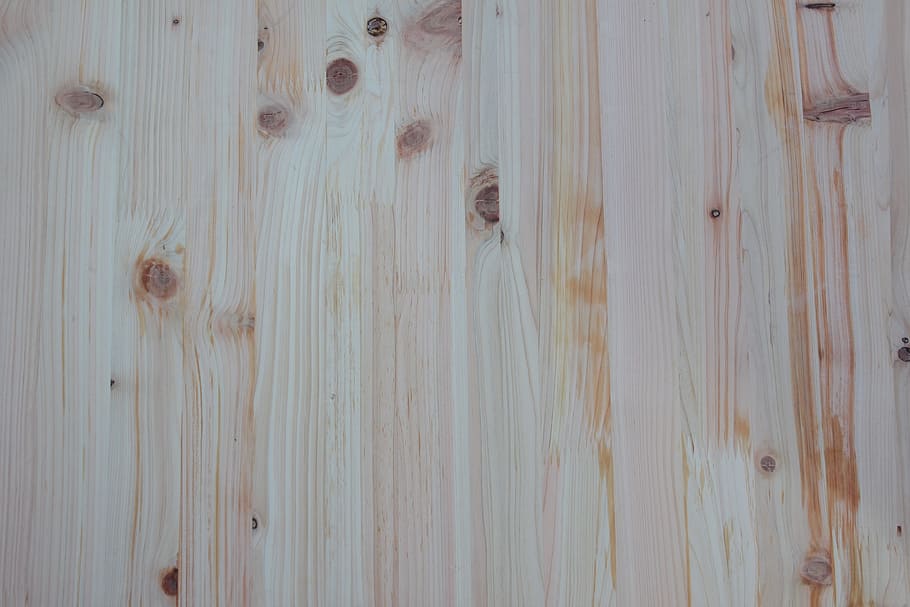 Wood, Pattern, Texture, wood pattern, wild, bark, nature, annual zone, construction, hardwood
