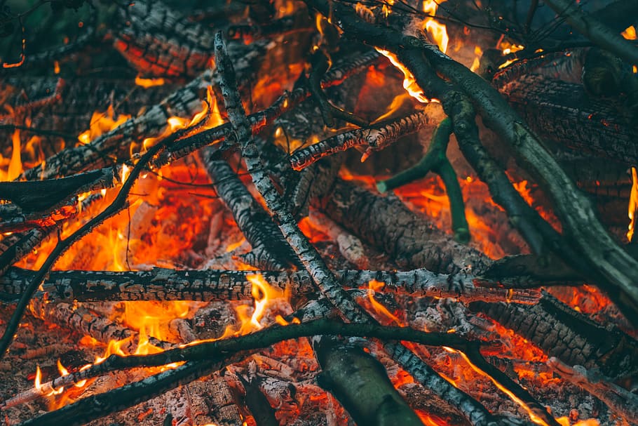 ainda, acampamento, fogo, chamas, quente, queimando, madeira, carbonizado, cinzas, luz