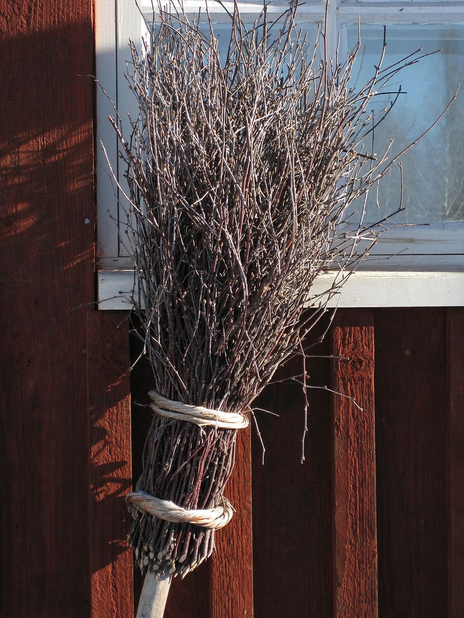 broom, window, red ocher, nature, branches, cutoffs tree, outdoors, wood - material, plant, architecture