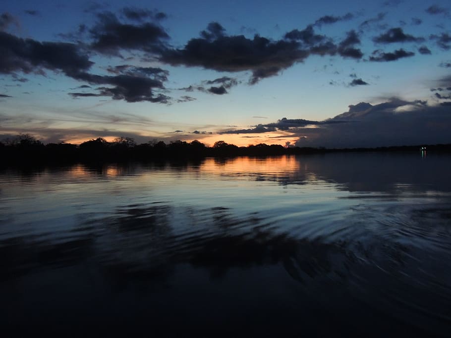 silhouette photography, rippling, body, water, Amazon, Sunset, River, America, Brazil, amazonia