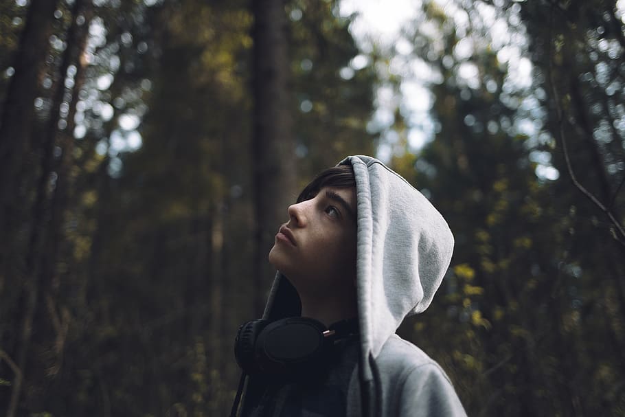 boy, looking, surrounded, trees, daytime, person, wearing, gray, hoodie, jacket
