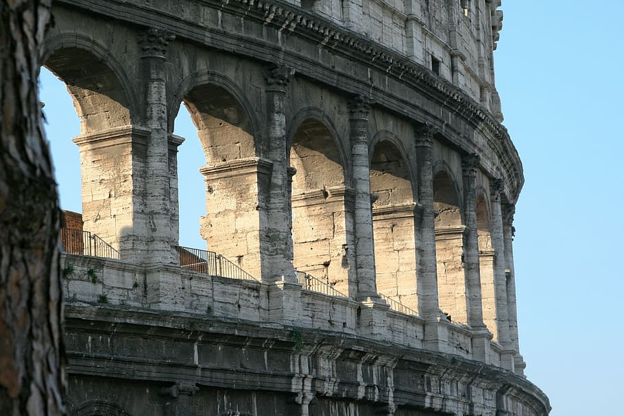 the coliseum, italy, rome, coliseum, ancient architecture, architecture, roman, famous Place, history, europe