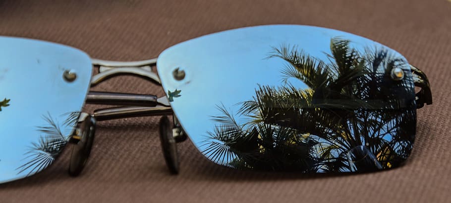 sunglasses, italy, palm trees, reflection, sky, summer, sun, blue, reflect, cool
