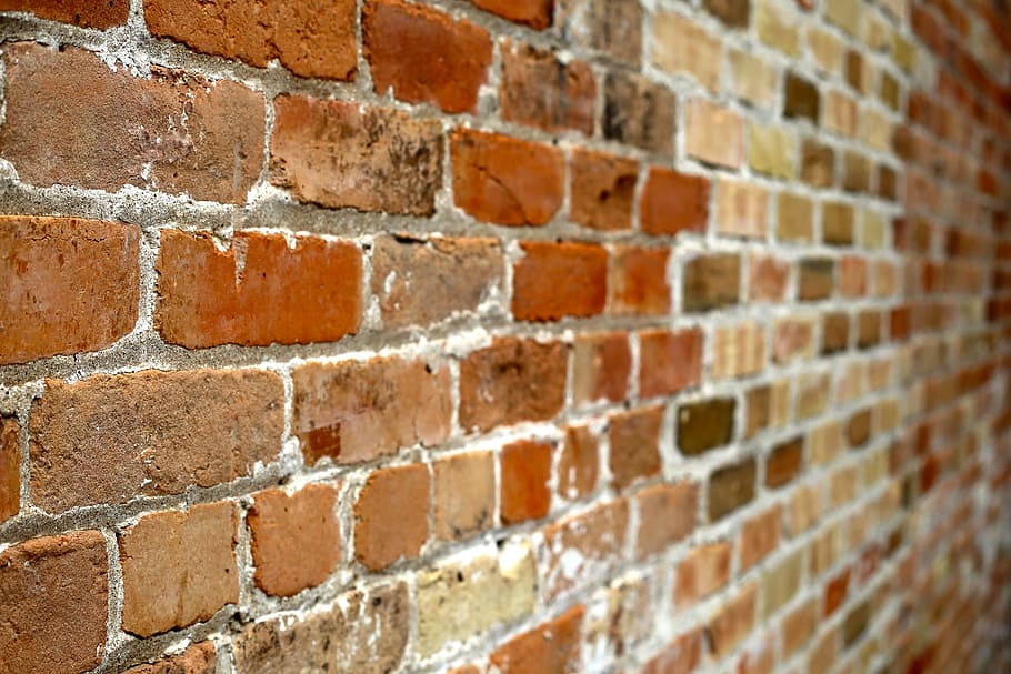 brown, brick wall, selective, focus photography, wall of bricks, bricks, wall, red, texture, background