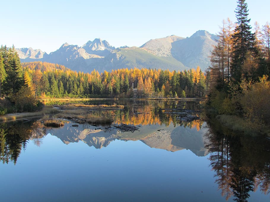 nuevo štrbské pleso, vysoké tatry, eslovaquia, montañas, lago, vista, reflexión, árbol, tranquilidad, belleza en la naturaleza