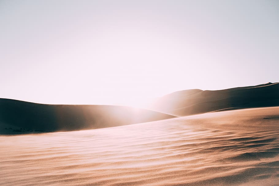 barren, bright, dawn, desert, landscape, sand, sand dunes, sky, sun glare, sunlight