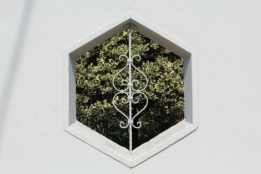 hexagon, window, wall, decoration, plant, architecture, nature, shape, wall - building feature, growth