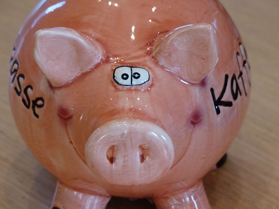 pink, ceramic, pig figure, brown, surface, piggy bank, piglet, savings bank, pig, spar slot