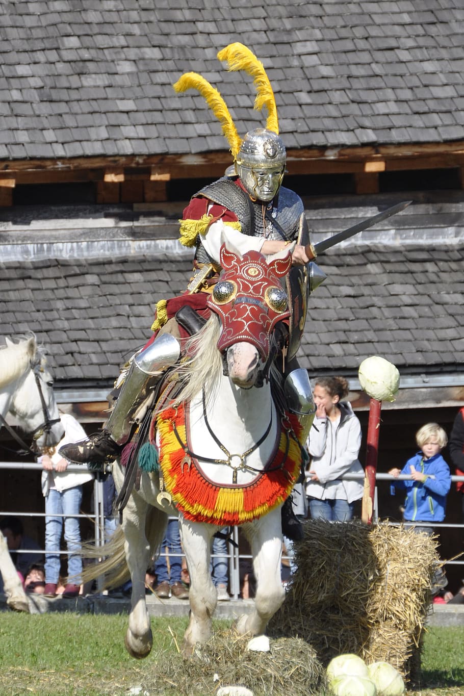 Roma, Reiter, Kavaleri, Pertarungan, Kuda, ksatria - Orang, budaya, Pakaian tradisional, Festival tradisional, Jas Baja