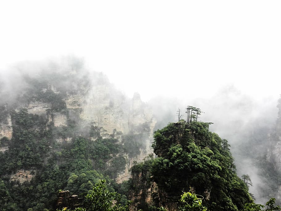 zhangjiajie, nubes, verano hill, montaña, niebla, naturaleza, bosque, provincia de hunan, árbol, asia