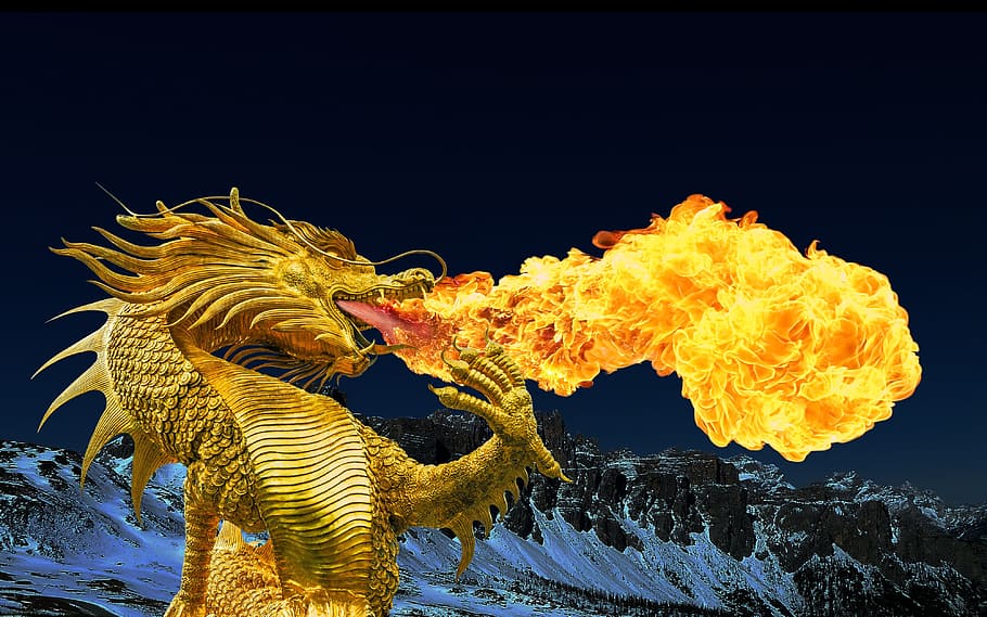 fire breathing dragon, Dragon, Fire, Fire Breathing, Golden Dragon, dragon, broncefigur, thailand, one animal, sea, animal wildlife