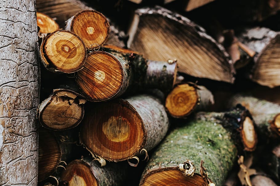 troncos de madera, madera, troncos, bosque, madera - Material, leña, árbol, registro, naturaleza, marrón