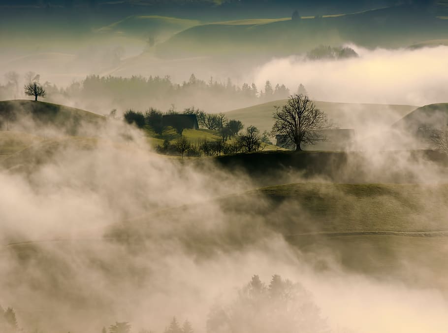 mountain, highland, trees, plant, nature, view, fog, cold, weather, landscape