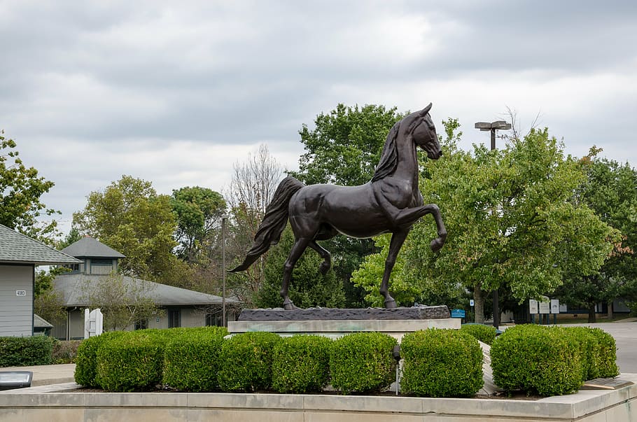 brown horse statue, kentucky, usa, america, kentucky horse park, lexington, sculpture, horse, statue, outdoors