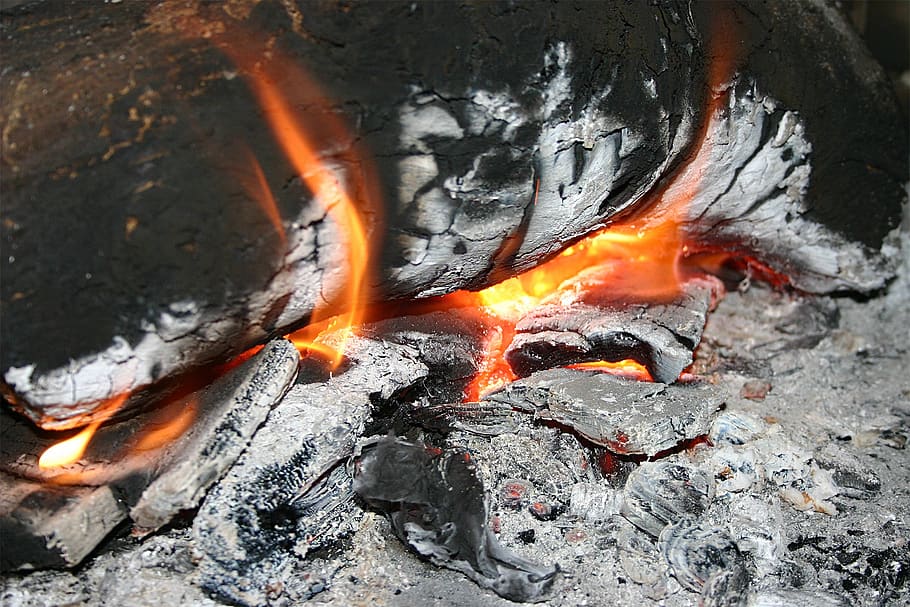 Burn land. Man sitting near Fire Wood.