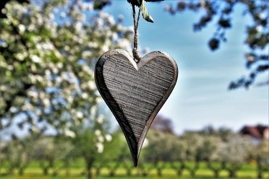 grey, heart, hang, tree, selective, focus photography, sad, spring, in the garden, fruit