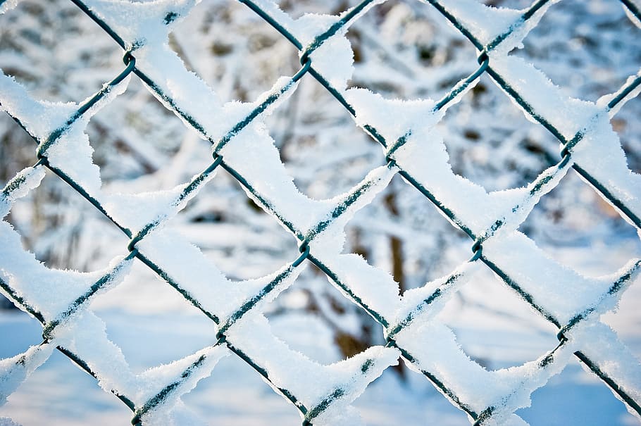 金網フェンス, フェンス, 雪, 冬, 金網, 庭のフェンス, 色, 寒さ, 人なし, 背景