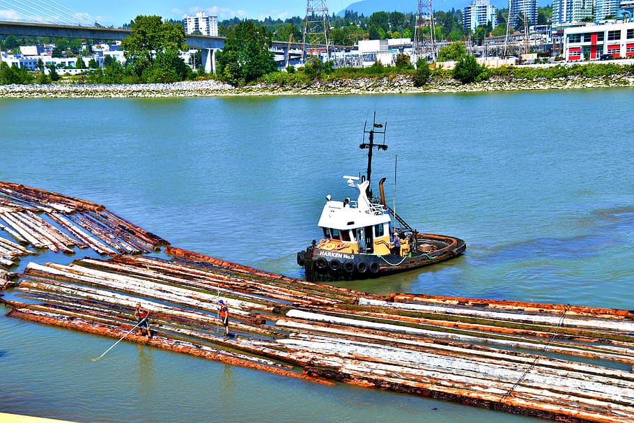 tugboat hauling logs, logs in the river, maritime, transportation, logging industry, paper industry, riverboat, nautical vessel, water, mode of transportation