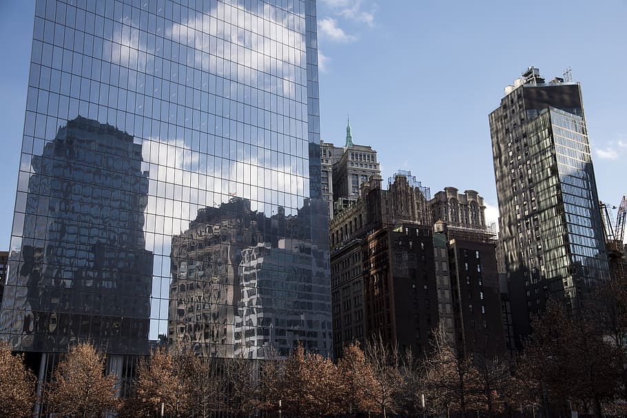 skyscraper, architecture, city, horizon, cityscape, new york, ground zero, united states, window shades, glass facades