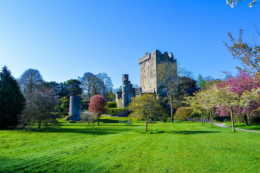 castle, surrounded, flowers, pants, blarney, ireland, stone, irish, architecture, cork
