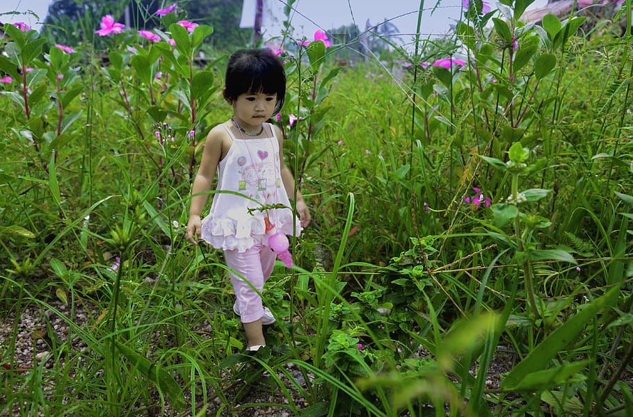 child, asian, girl, cute, young, happy, children, childhood, kid, people - Pxfuel