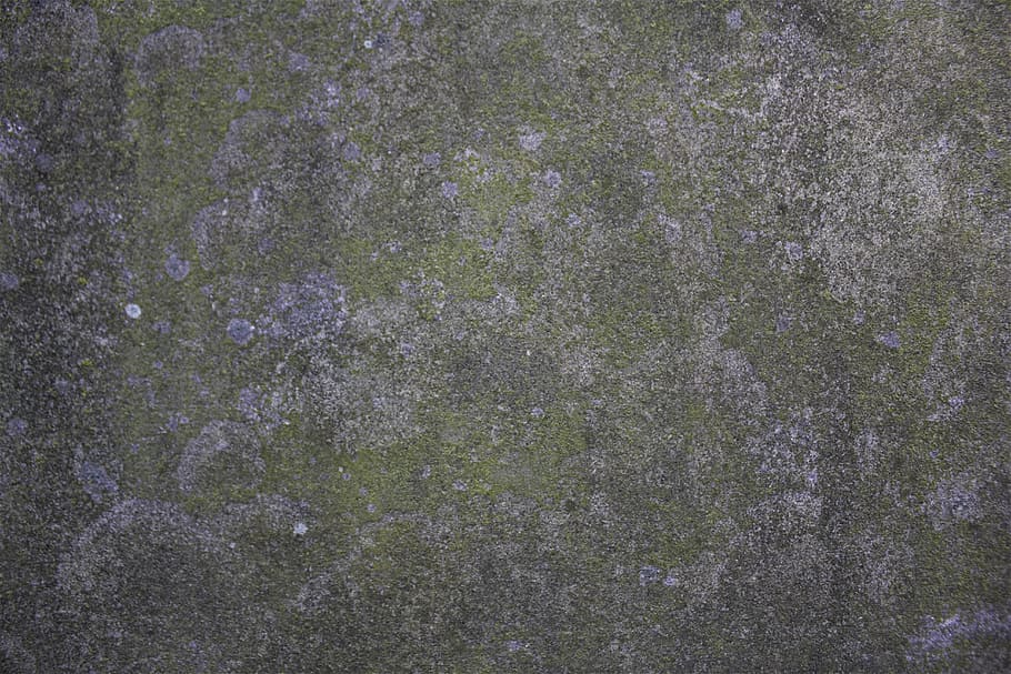 texture, background, backdrop, overlay, vintage wall, background texture, stone wall, moss background, stone texture, full frame