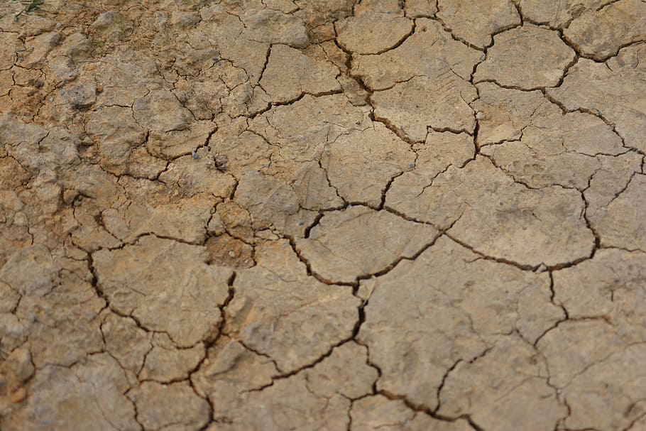 cracked dirt, texture, crack, effect, drought, land, dry, dirt, nature, desert