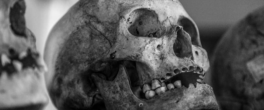 selective, focus, photographed, gray, skull, old, human skull, black and white, vintage, antique