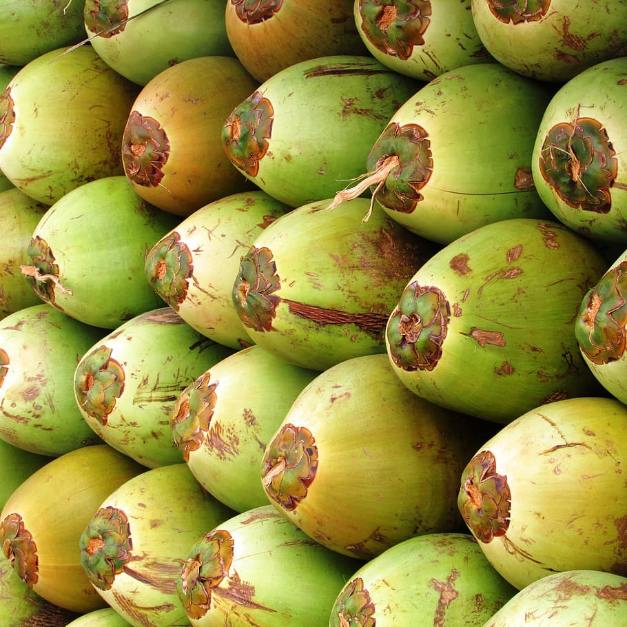 cocos, fruta, coco, verde, semilla, drupa, tropical, exótico, shiggaon, india