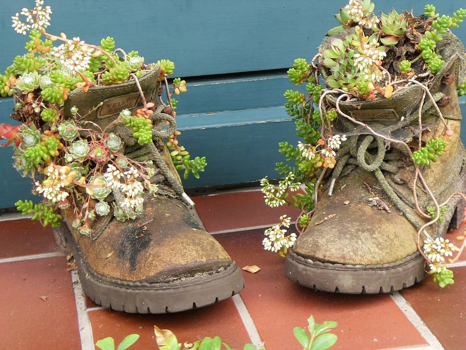 shoes, nature, flowers, boots, flower, flower Pot, plant, potted plant, day, water