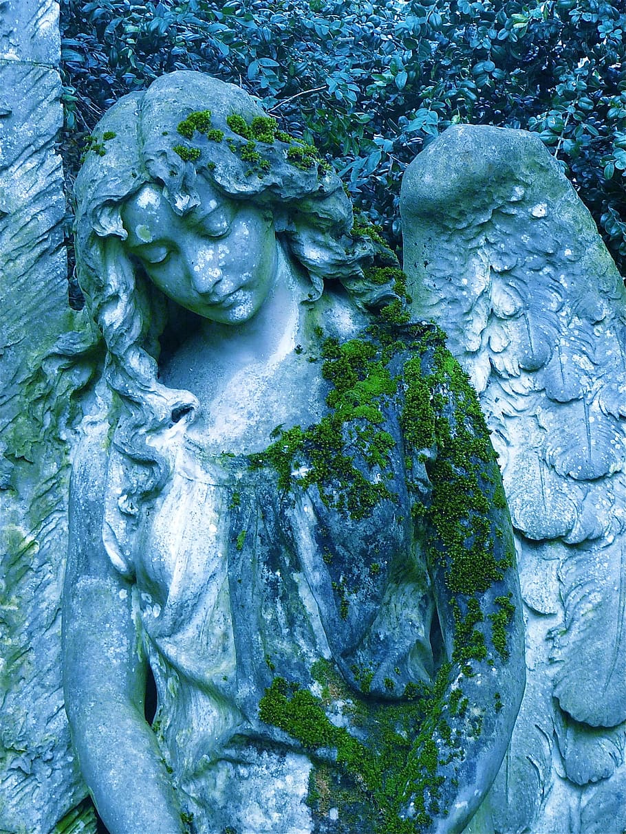 patung malaikat, ganggang, malaikat, patung, harapan, sayap, kuburan, diam, taman, berkabung