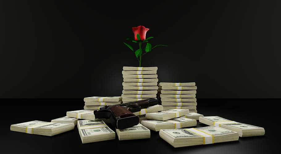 uang, senjata, mawar, percintaan, kas, dolar, pemberontak, cinta, konsep, kaya