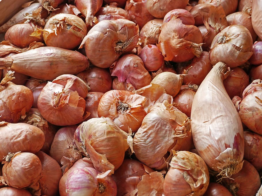 onions, food, background, healthy, market, farmers local market, box, shallots, vegetables, eat