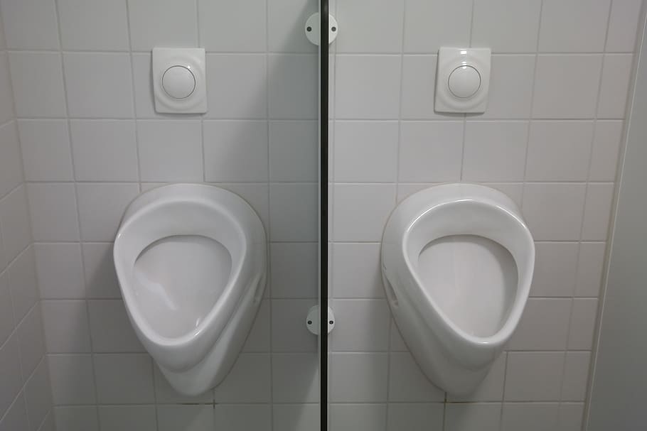 two, white, toilet bowls, wall, Urinal, Wc, Public Toilet, toilet, man toilet, loo