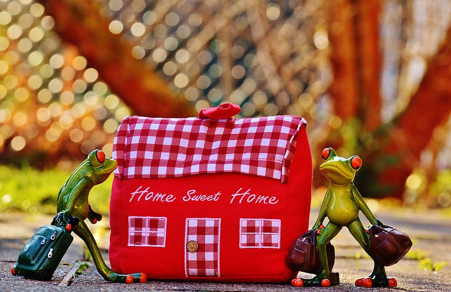 home, at home, arrive, frog, funny, trolley, fabric, decoration, doorstop, red