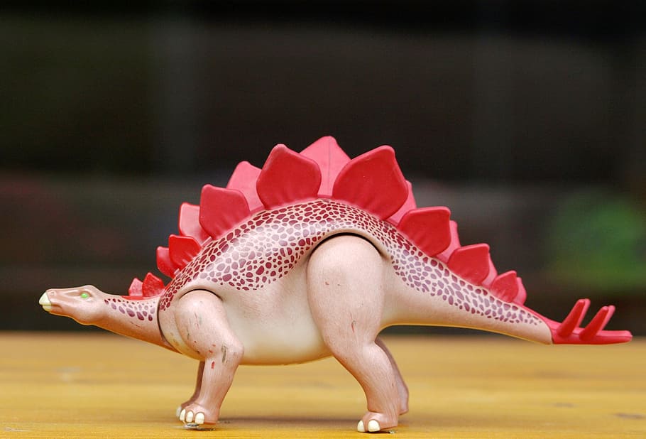 Stegosaurus, Dinosaur, Replica, dino, toys, playmobil, one animal, animal wildlife, animal themes, day