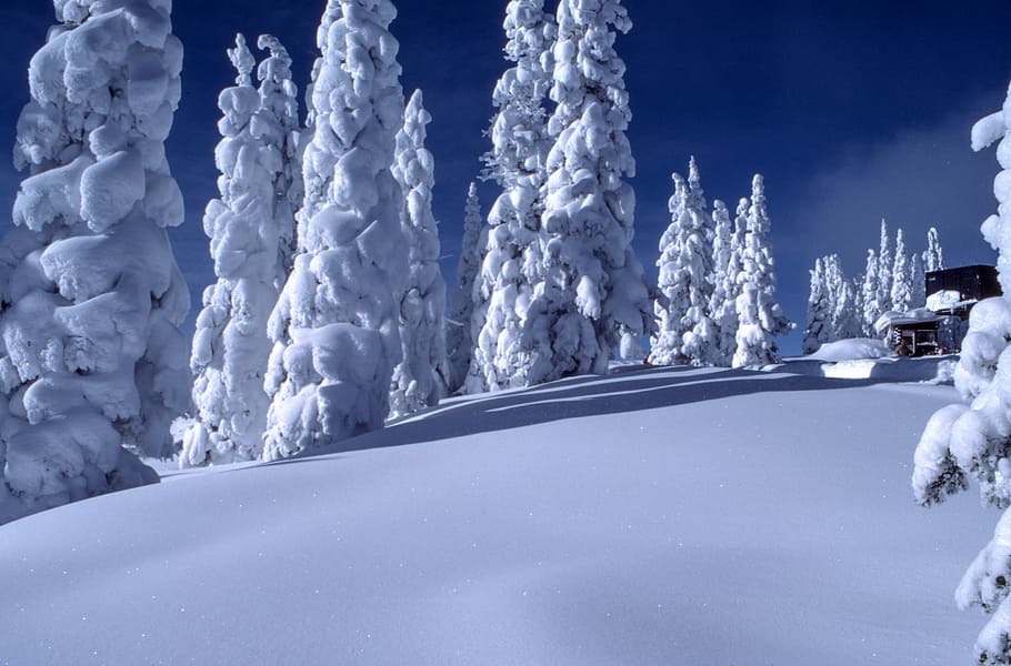 caminho de neve branca, neve, campo, nascer do sol, inverno, frio, clima, natureza, viagem, azul