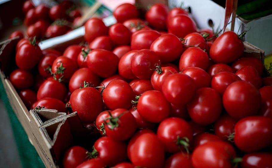 tomatoes, vegetables, cherry tomato, cherry tomatoes, solanum lycopersicum, red, food, healthy, vegetarian, frisch